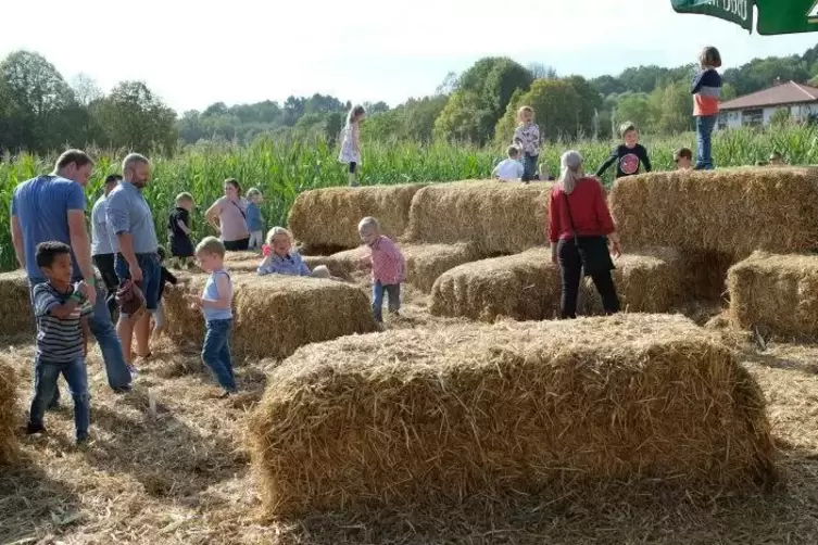 Die Kinder konnten im Stroh spielen, allerdings kostete das dieses Jahr vier Euro.