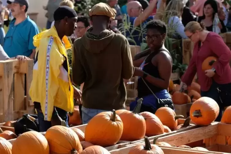 Im Internet hat Organisator Daniel Fischer das Fest als „Pumpkin-Festival (Kürbis-Fest)“ beworben.