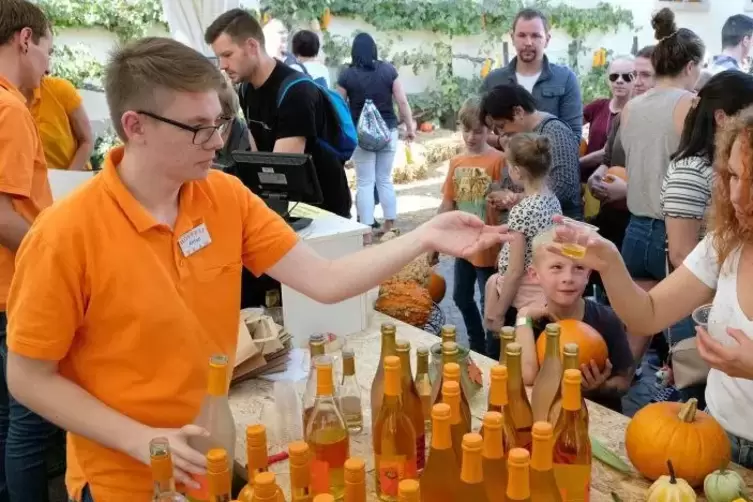 Nicht nur bei den Kürbissen war die Farbe Orange zu entdecken.