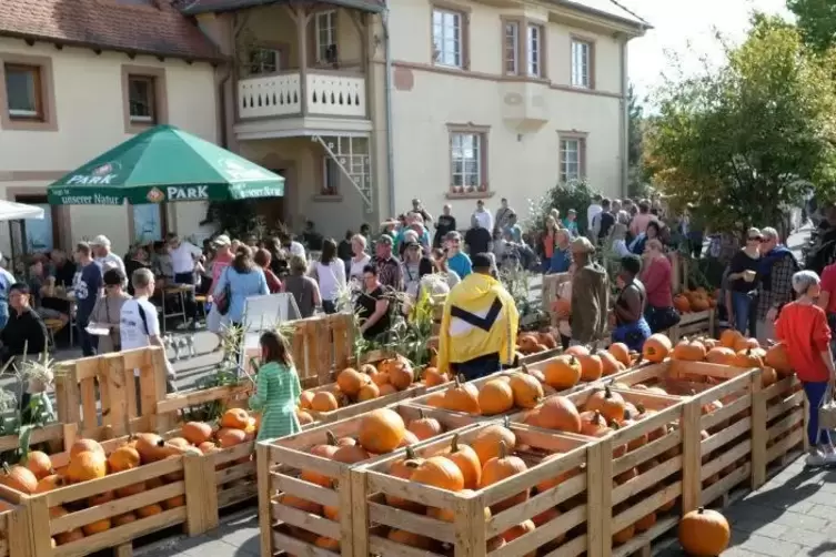 Die Organisatoren waren sehr zufrieden.