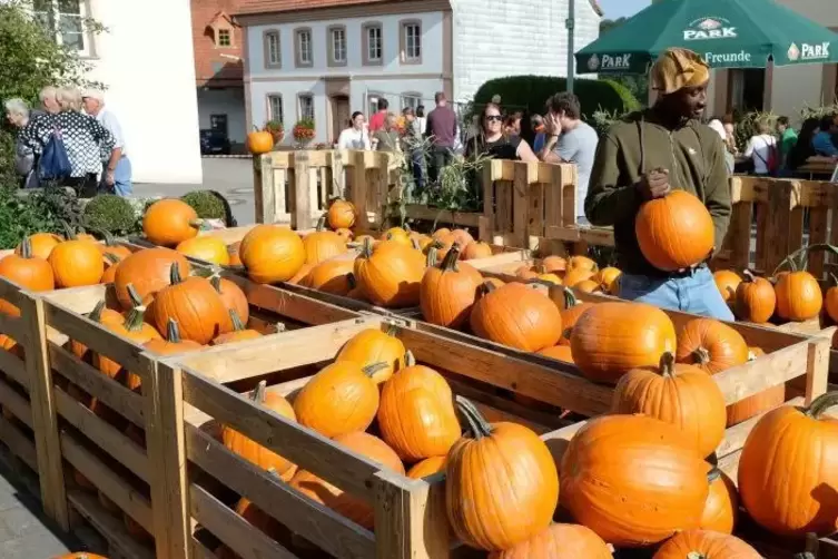 Die Kürbisse sind das Markenzeichen des Festes.