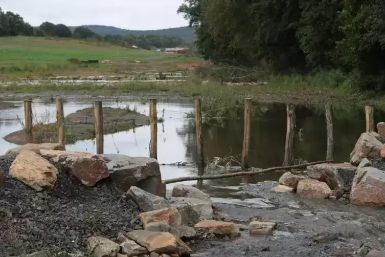 Ein Teil des renaturierten Eisbachs in Ebertsheim.