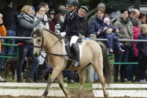 Leonie Rapp auf Sugar Boy belegte den vierten Platz beim Reiterwettbewerb Schritt-Trab.