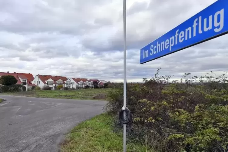 Wo einst Rebstöcke standen, wird demnächst gebaut.