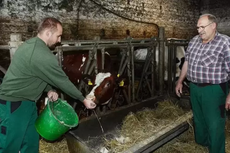 Sebastian und Walter Mündel im Kuhstall – das ist jetzt vorbei.