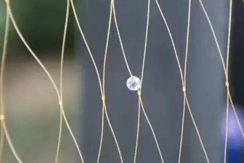 Die Kugeln sollen Schall reflektieren und Schweinswalen signalisieren, dass sie auf ein Hindernis zuschwimmen.