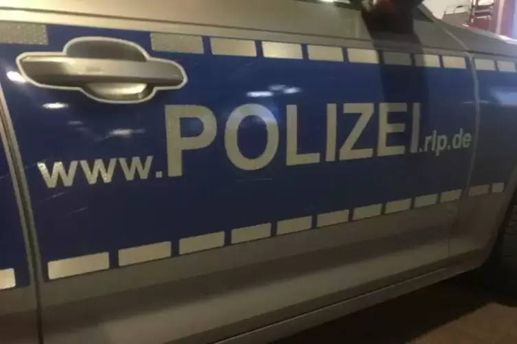 Wo ist der gestohlene Pick-Up seit 23. Dezember aufgetaucht?, fragt die Polizei.