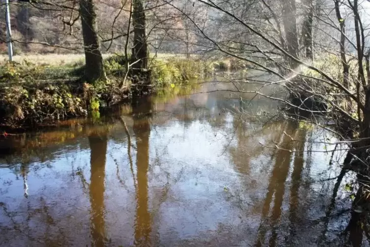 Die Wieslauter an der Silbergrube.