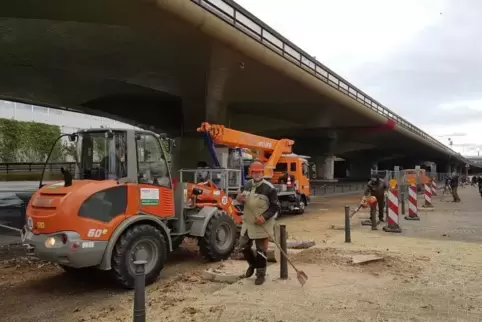 In der Vorwoche wurden in der Dammstraße 14 Platanen gefällt, damit vor Ort eine Baustelle für den Abriss eingerichtet werden ka