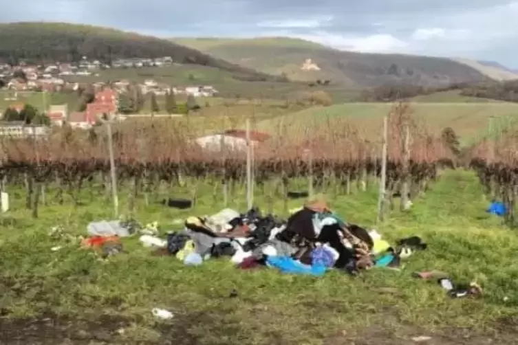 Unweit der Umgehungsstraße von Bad Bergzabern wurde der Müll gefunden. 