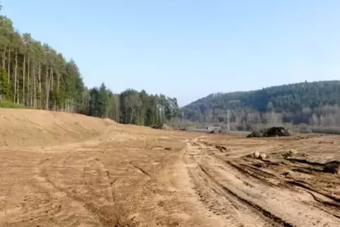 Die Fläche für das Versandhaus von Pferdezubehör ist schon gerodet und wird bald mit vier Hallen und Bürogebäude bebaut.