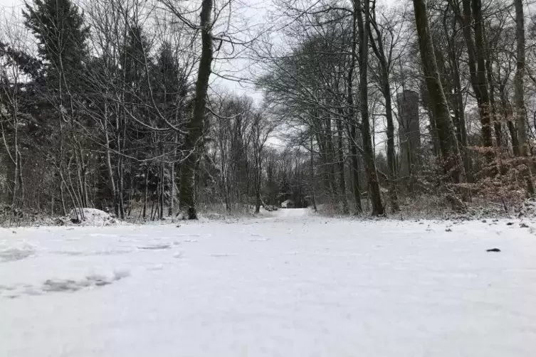 Eine Schneedecke auf dem Berg. Zum Schlittenfahren reicht es jedoch nicht.