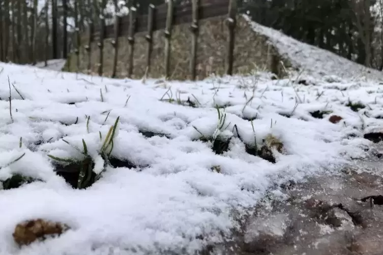 Winterlicher Keltenwall.