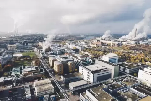 Mannheim ist der drittgrößte Standort des Pharma- und Diagnostika-Konzerns Roche weltweit.