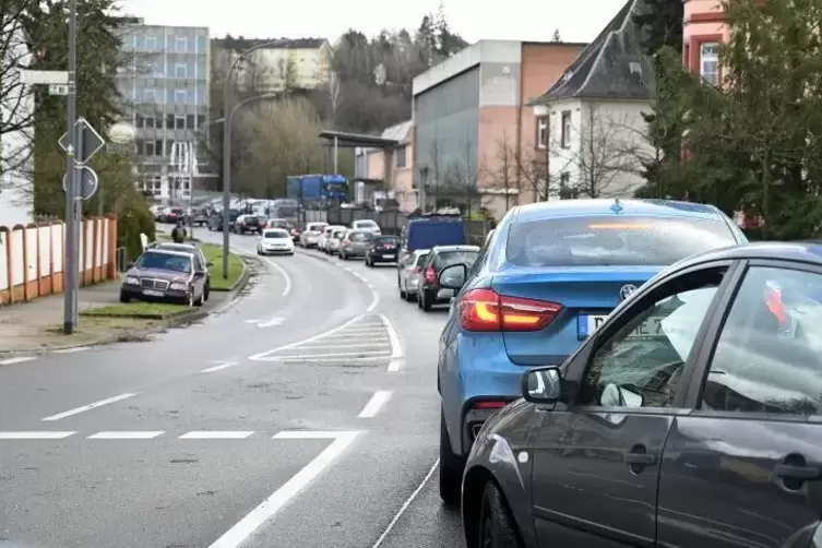 Die Lembergerstraße musste voll gesperrt werden, wegen einem umgefallen Baum. Der Verkehr staute sich bis zum Plub.